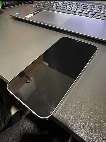 iphone 16plus: IPhone 12 Pro Max, 256 GB, Gümüşü, Face ID — 2