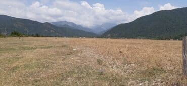 xacmaz torpaq satilir: 45 sot, Kənd təsərrüfatı, Mülkiyyətçi, Kupça (Çıxarış) — 6