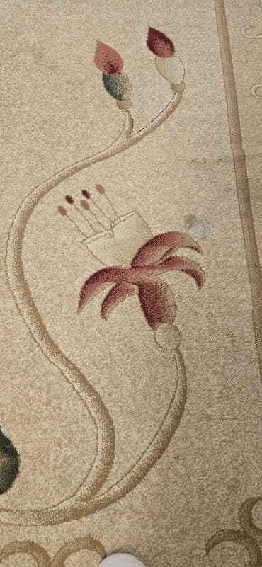 Otaq bitkiləri: Xalça Dekorativ, Kredit yoxdur — 3