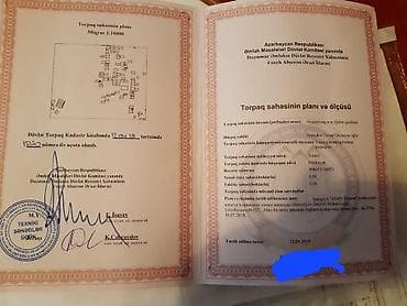 şeki: Tikinti, Kupça (Çıxarış) — 3