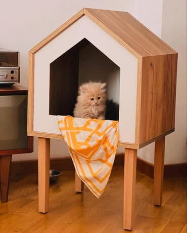 Taxta it/pisik evi – skandinaviya üslubunda minimalist dizayn - lalafo.az -da Taxta it/pisik evi – skandinaviya üslubunda minimalist dizayn -