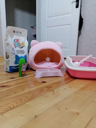 çöl pişiyi: Pişiye aid olan eşyalar. Hamsı yenıdır. Alınıb bir gün istifade — 1