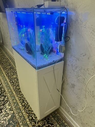 Gəmiricilər: Akvarium-şkaf, Balıqlarla birlikdə, 90 l, Ödənişli çatdırılma — 3