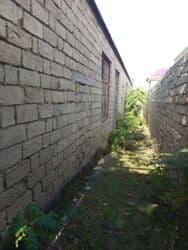 qaxda obyekt satilir: Abyek satilir qaracuxurda 81 nomreli aftobusun son dayanacaginda — 4