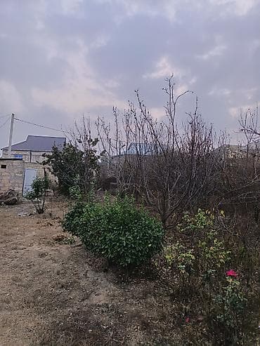xrustal guldanlar: Şirvan şeher kend evleri Şeherin merkezi 4 sot torpaq satilir — 1