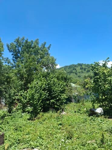 Təcili Qəbələ rayonu Nohurqişlaq kəndi Nohur gölü ilə üz üzə 6 sot dağ