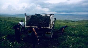 disk təkər type 0: Mehdiabad torpagi qara torpag yanmis mal peyini ve s — 4