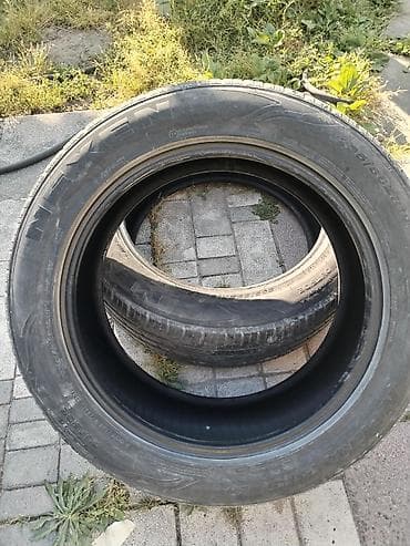 disk lada: Nexen N’Fera SU1 təkərlər - Ölçü: 235/55 ZR19 - Tip: Yay/Yolu — 1