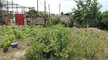 sud ceni: Həyətyanı torpaq sahəsi olan fərdi bağ evi - Bir mərtəbəli, 3 — 4