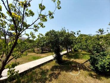 ramanada evler: Bakı, Novxanı, 230 kv. m, 6 otaqlı, Hovuzlu, Kanalizasiya, Qaz, Su — 7