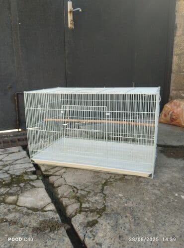 elf bar en ucuz: Qefes 15.45 azn yeke iri qefeslerdi balacada var Tezedi Qəfəs — 5