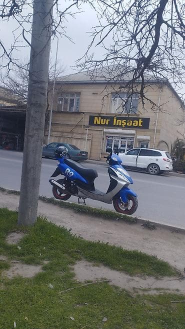 moto 150cc: Skuter – şəhər içi yüngül və qənaətcil nəqliyyat - Korpus: mavi-ağ — 10