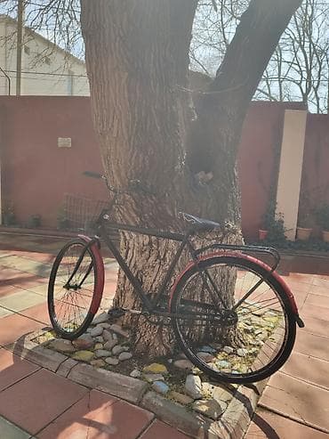 velosib: Şəhər/kruser tipli velosiped Velosipedin heç bir problemi yoxdur Çox — 4