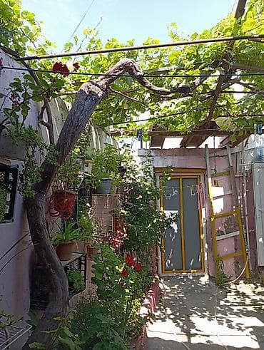 Дома: Поселок Сураханы 2 комнаты, 38 м², Без ремонта — 1