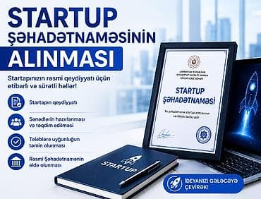 birə: Mühasibat uçotu | Mühasibat uçotunun aparılması — 8