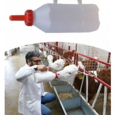 Inəklər, öküzlər: Yem qabı, Su üçün, Heyvanlar üçün, Ünvandan götürmə, Ödənişli çatdırılma — 2