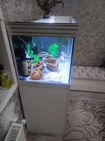 Akvaryum dəsti – şkaflı - Ölçü: 80x40x50təxminən orta-hündür akvaryum
