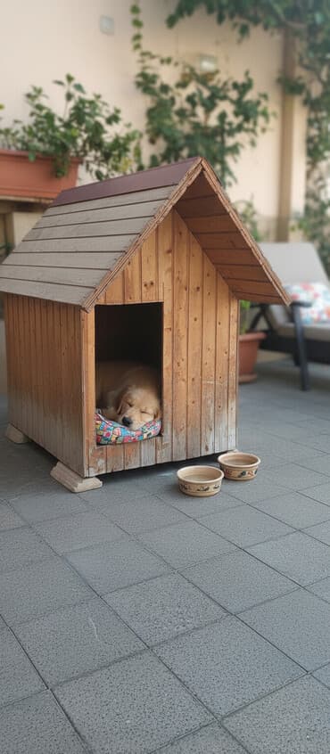 it yuvalari: Ağacdan hazırlanmış it evi - Material: tamamilə taxta panellər — 1