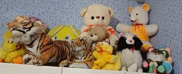 работа в сша для азербайджанцев: Qiymət razılaşma yolu ilə. içində işlənməmişlərdə var — 1