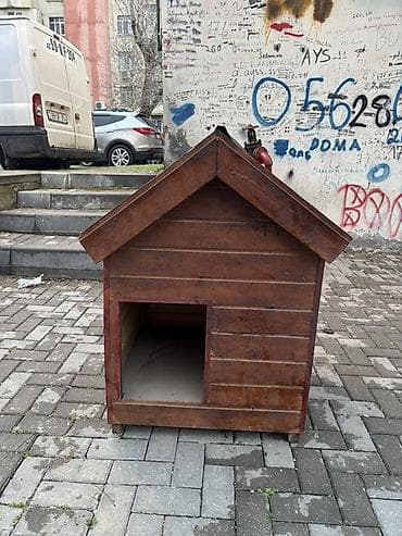 Taxta ev Ev heyvanınız üçün praktik və dayanıqlı açıq hava sığınacağı