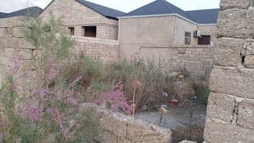 lenkeran erazisi: 1 sot, Tikinti, Mülkiyyətçi, Müqavilə — 3