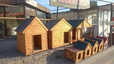 pişik yuvaları: Yuvalar — 3