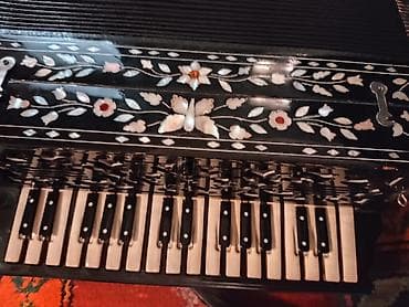 gitara balaca: Akustik Akkordeon — 2