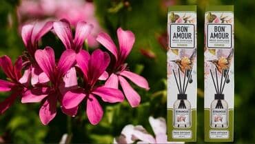 qamış: Qamış diffuzor, ətraf mühitə davamlı və xoş ətir yaymaq üçün istifadə — 7