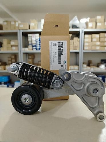 masin satis saytlari: Kia Rio, Ceed, Cerato, Optima, Sportage / Hyundai Accent, Elantra — 9