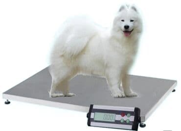 оборудование для производства воды: Terezi satisi — 2