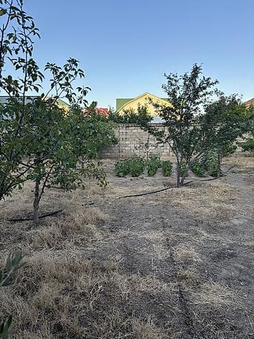 torpaq bakida: 5 sot, Tikinti, Mülkiyyətçi, Kupça (Çıxarış) — 1