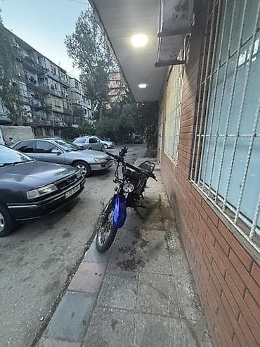 isma challenger: Motosiklet – CHAMP enduro tipli - Rəng: mavi - Kuzov: enduro/kros — 5
