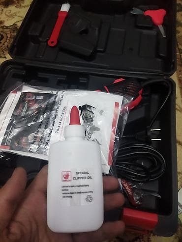 bakida it satislari: Qoyun qırxan zubr firması rus yenidən gəldi sadəcə 135 man çox istəyen — 8