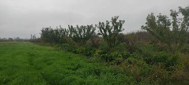 xacmaz torpag: 93 sot, Kənd təsərrüfatı — 18