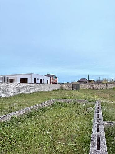 12 sot, Tikinti, Kupça (Çıxarış) — 5