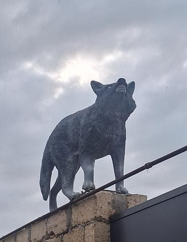 Fiqur lalafo.az -da Fiqur