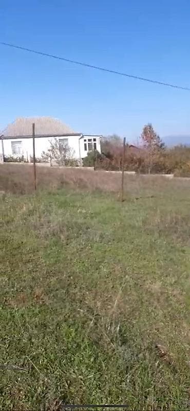 samaxi: 10 sot, Tikinti — 9