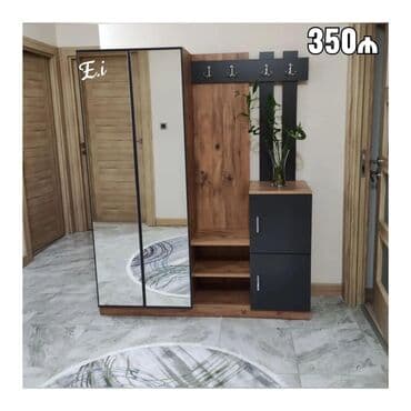 Düz dolab, Dəhliz üçün, Paltar üçün, Açılan, Korpuslu, 2 qapılı