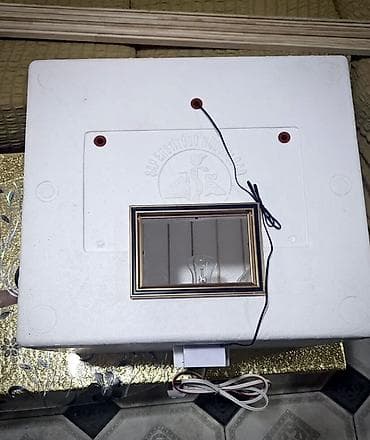 İnkubatorlar: Bütün növ quşlaq üçün — 3