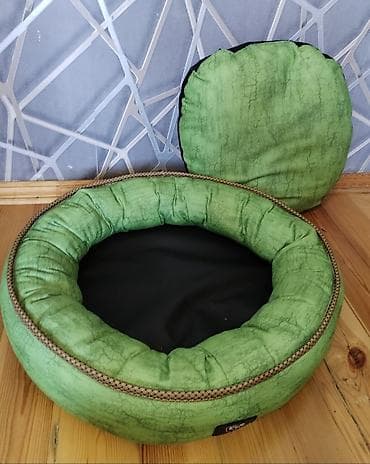 pitbul satilir: Bizim itimizə balaca olduğu üçün satılır — 1