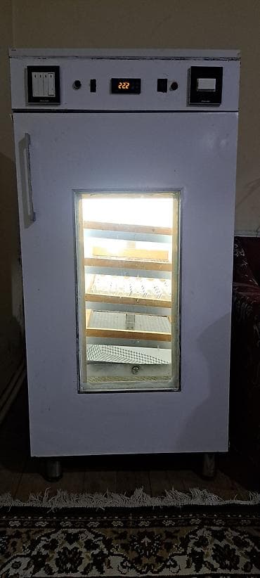 Azərbaycan, Tam avtomat — 7