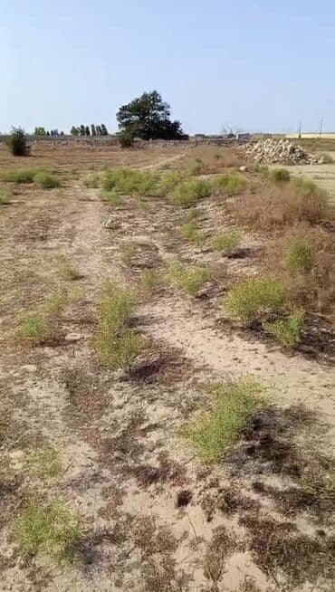 xacmazda torpaq satilir 2020: 44 соток, Для строительства, Собственник, Бялядия (муниципалитет) — 6