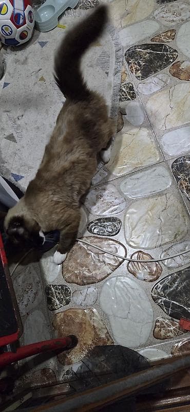 Erkək, Yaxşı əllərə, Ünvandan götürmə