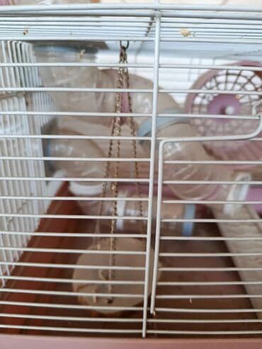 купить клетку для морской свинки: Xəzərtikanlı/siçan kimi kiçik kemiricilər üçün tam dəst qəfəs — 1