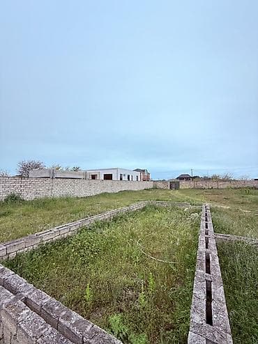 12 sot, Tikinti, Kupça (Çıxarış) — 6