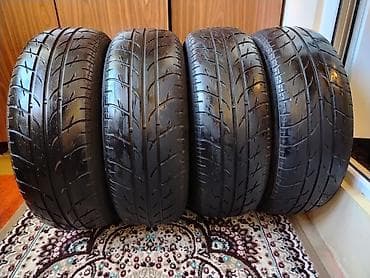 Şin 195 / 65 / R 15