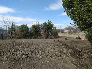 bine torpaq satilir: 6 sot, Tikinti, Mülkiyyətçi, Kupça (Çıxarış) — 6