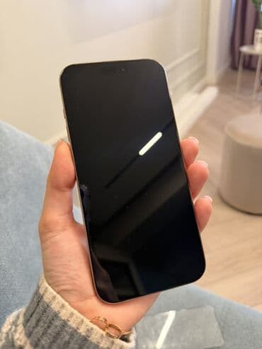 Audio: IPhone 15 Pro, Natural Titanium, Simsiz şarj — 1