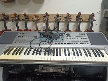 Sintezatorlar: Korg pa 50 sadə — 1