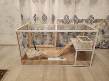 ag dovsan: Dovşan,hamster,şinşila,bildirçin,cücə,xamyak,pişik,quş ve s kimi ev — 7